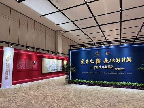 當(dāng)東方之韻遇上色彩非洲 國內(nèi)文化交流盛宴